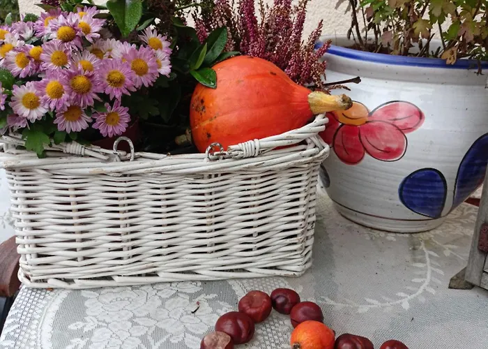 Marion Гостевой дом