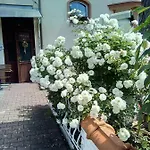 Marion Penzion Mariánské Lázně