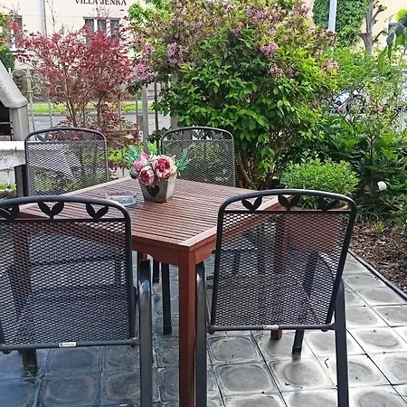 Marion Guest house Marianske Lazne