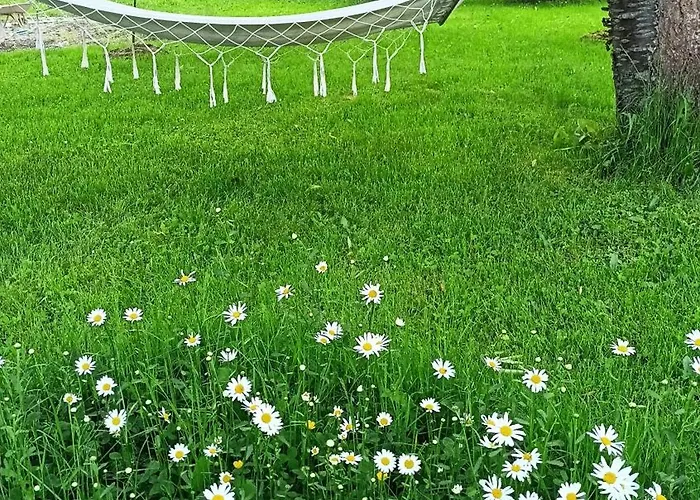 Marion Guest house Marianske Lazne