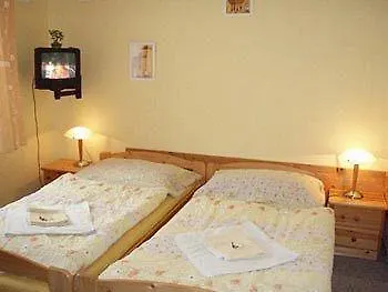 Marion Guest house Marianske Lazne