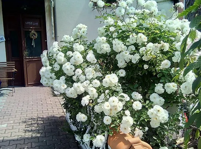 Marion Penzion Mariánské Lázně